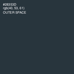 #28353D - Outer Space Color Image